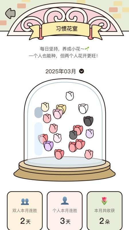 吱吱小岛app4