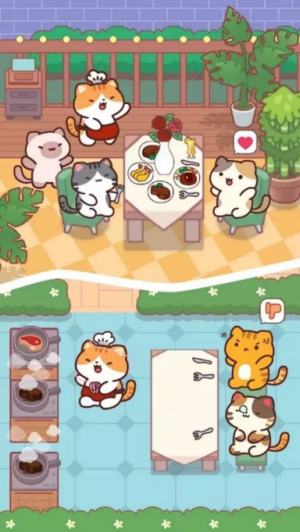 小猫厨房20262