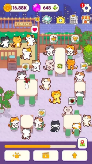 小猫厨房20261