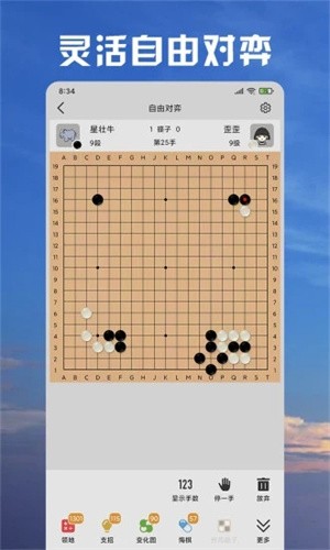 星阵围棋手游2