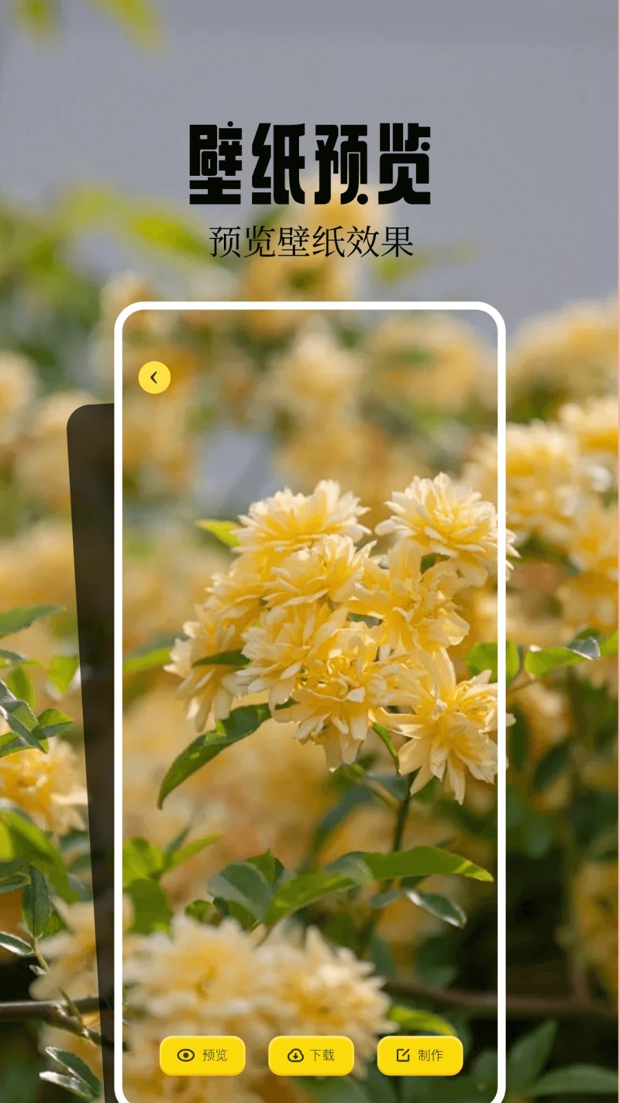 魔秀壁纸app截图4