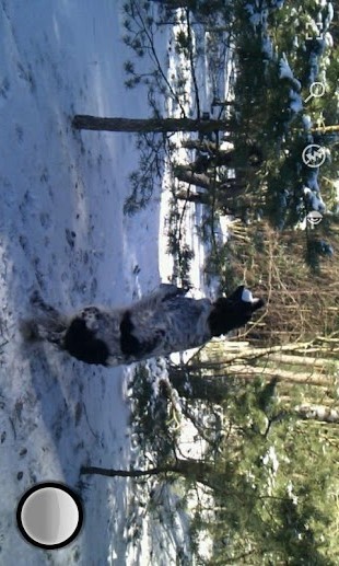 快速连拍相机app截图2