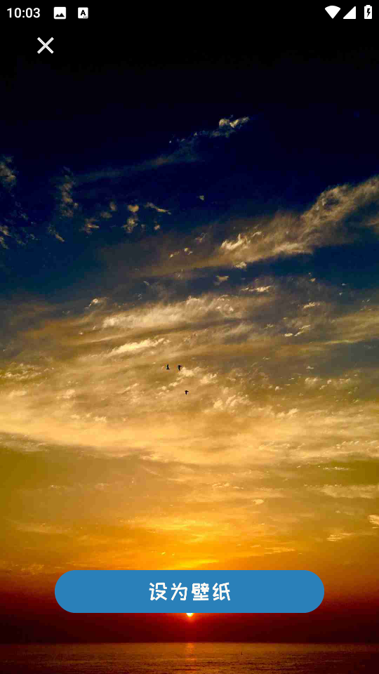 小猪壁纸大全app截图1