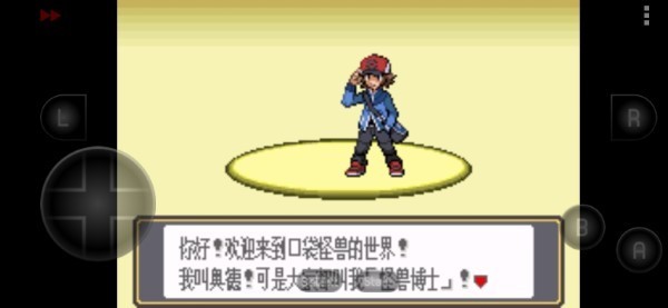 口袋妖怪黑白内置金手指版2