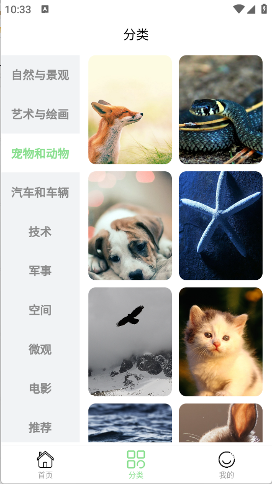 每日淘壁纸app截图4
