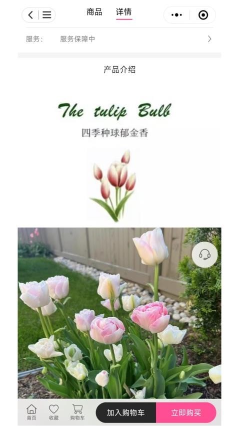 七彩荔枝app截图1