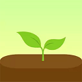 Forest专注森林app 最新版v4.94.0