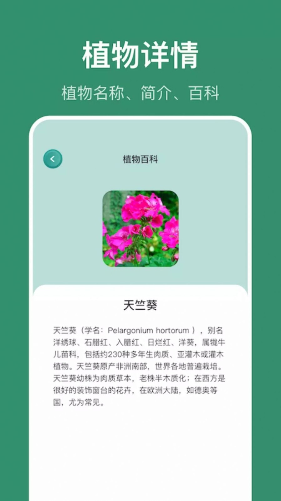 小黄养花APP 4