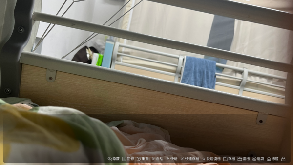 沙湖神大人求包养游戏1