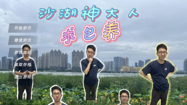 沙湖神大人求包养游戏2