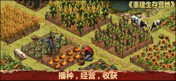 重建生存营地手游3