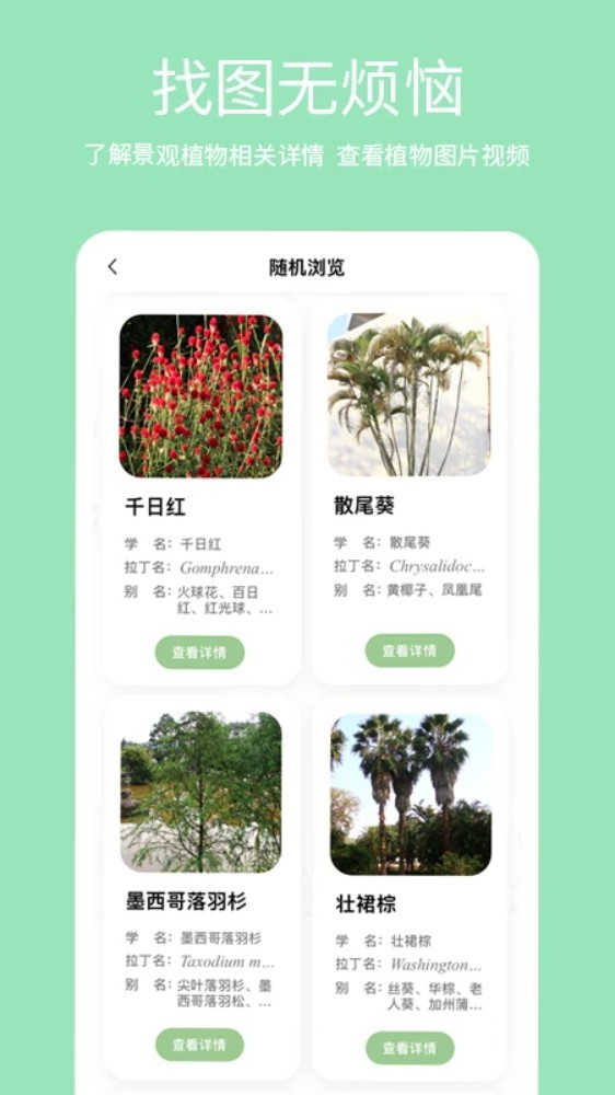 绿图app4