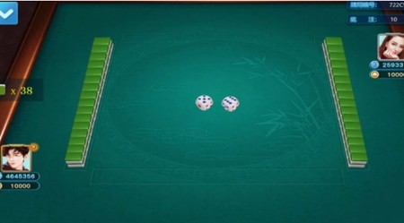 铜陵麻将官方版截图1