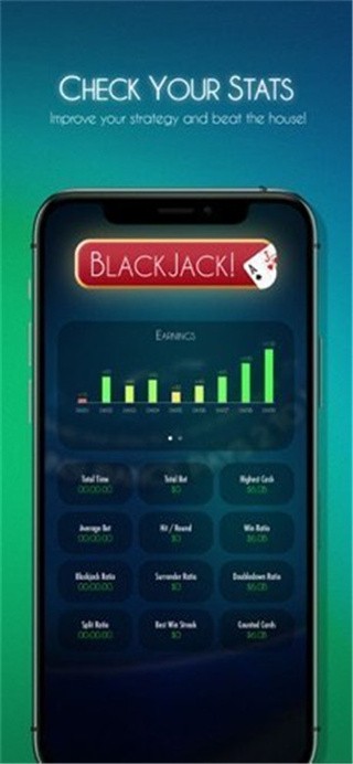 二十一点游戏截图3