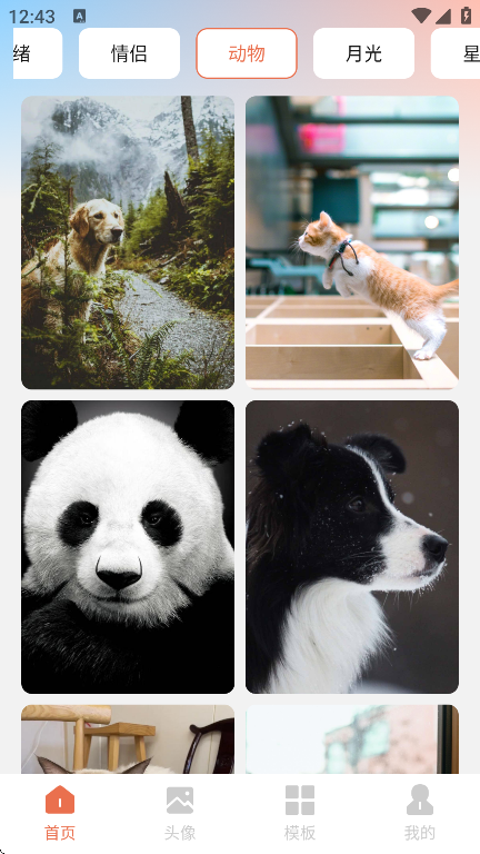 星狐壁纸app截图1