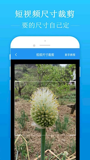 去水印吧app4