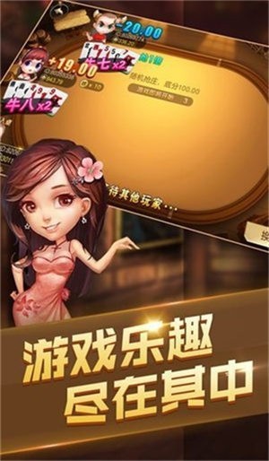 二十一点游戏截图2