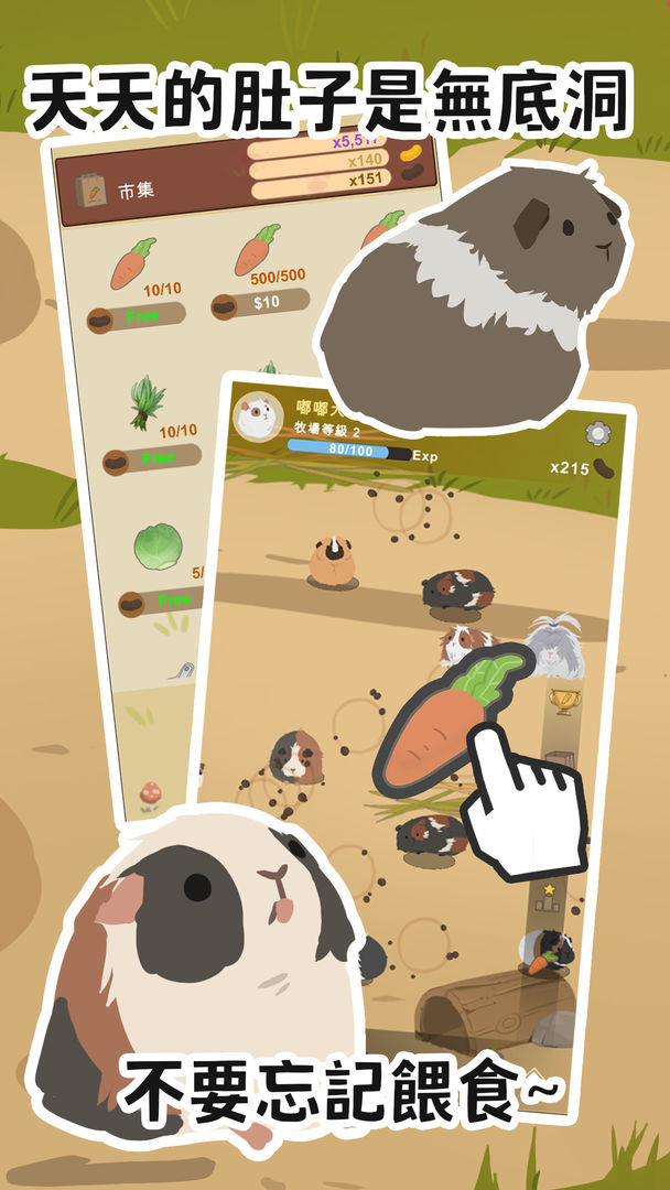 天竺鼠農場截图1