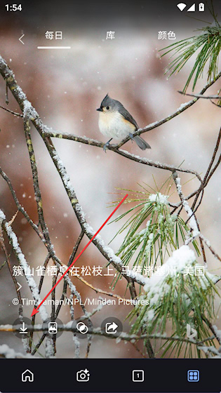 MSN 安卓版v30.4.2110003843 新闻阅读