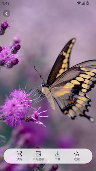 主题壁纸 安卓版v7.0 主题桌面