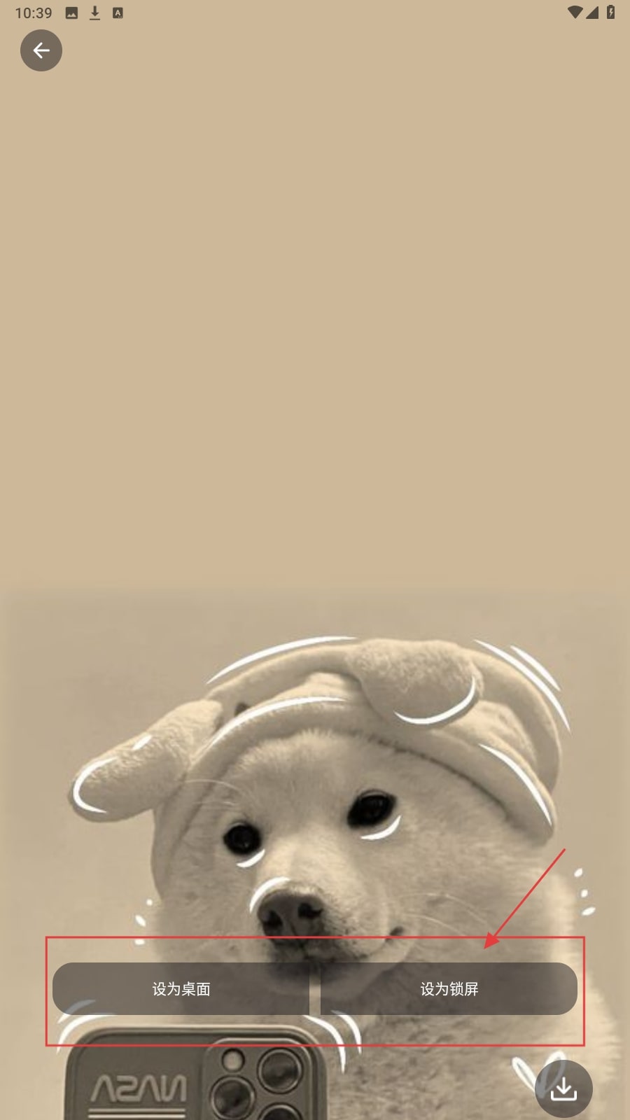  岛遇壁纸秀app 高清版v1.0.4  主题桌面