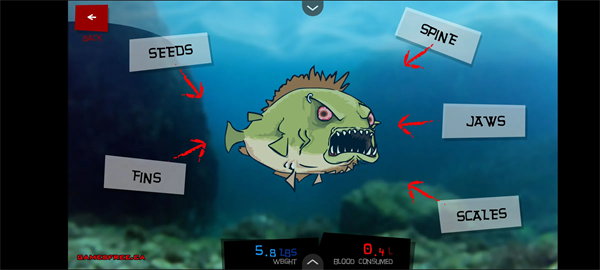 恐怖食人鱼1正版4