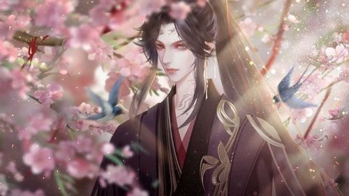 仅仅是外人完结版1