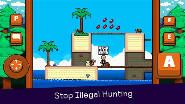 最后的金刚鹦鹉手游截图2