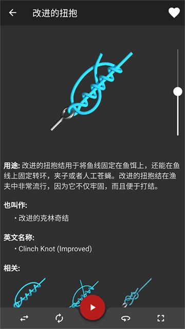 Knots 3D截图1