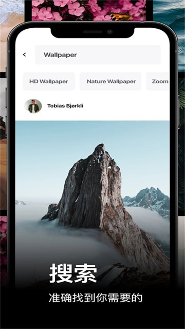 pexels 高清版下载