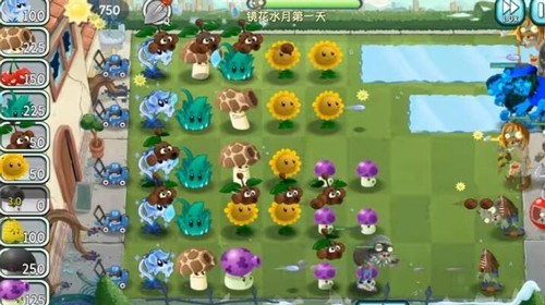 植物大战僵尸:旅行阳光不减反增版截图3