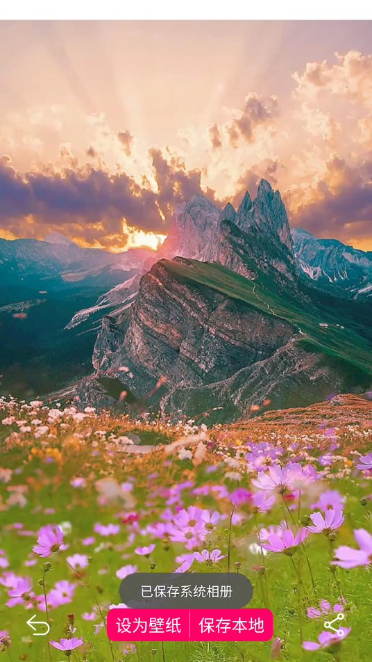 免费壁纸大全app 截图4