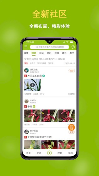 兰花交易网截图2