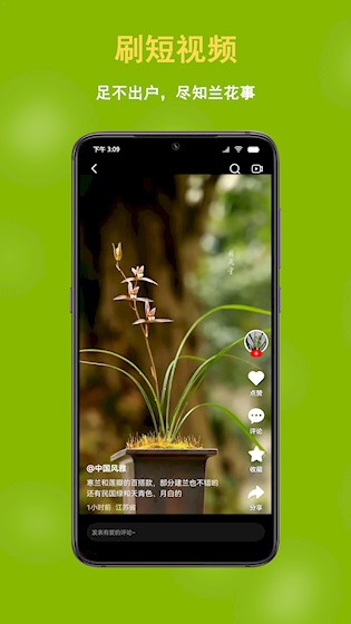 兰花交易网截图4