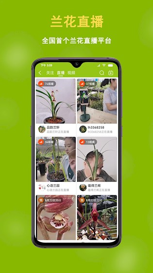 兰花交易网截图3