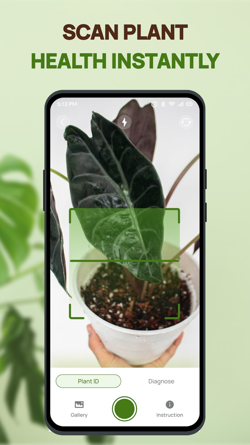 Plant Health Identifier截图1