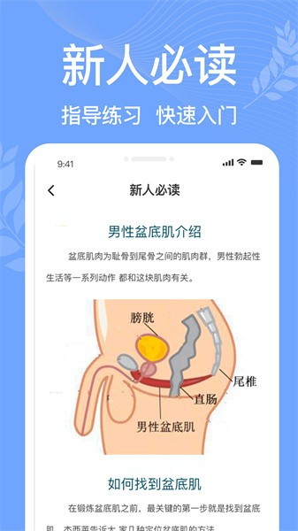 凯格尔运动4
