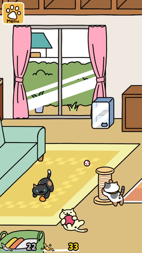 猫咪后院21