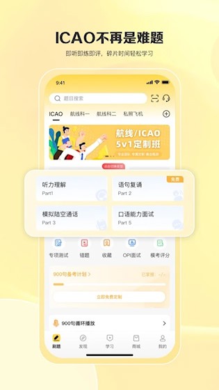 飞行之翼1