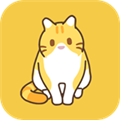 领养一只流浪猫
