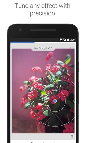 绿叶修图1