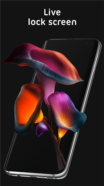 Pixel 4D1