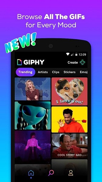GIPHY3