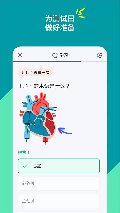 Quizlet app2