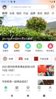 茶友网4