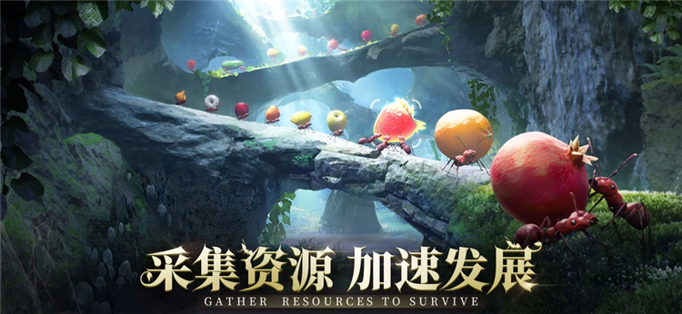 小小蚁国国际版截图2