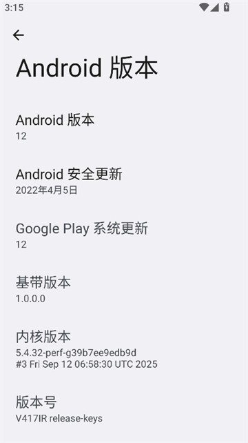 开发者选项app4