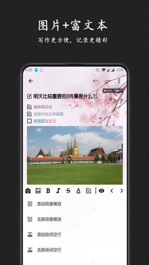 格间日记专业版2