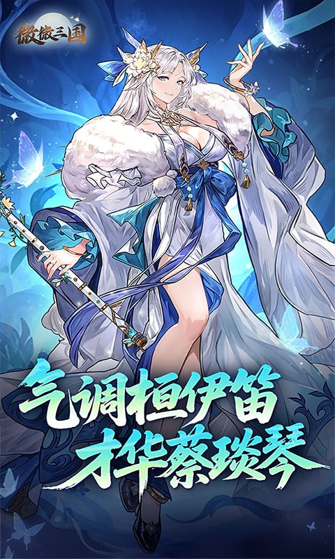 微微三国游戏1