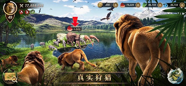野兽领主新世界截图2